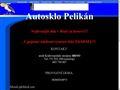 http://www.autosklo-pelikan.wz.cz